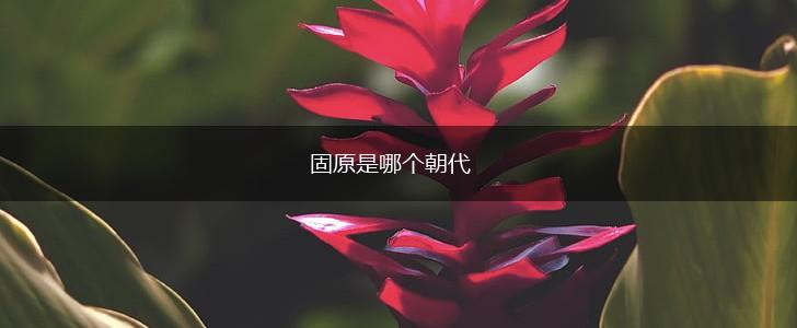 固原是哪个朝代,第1张