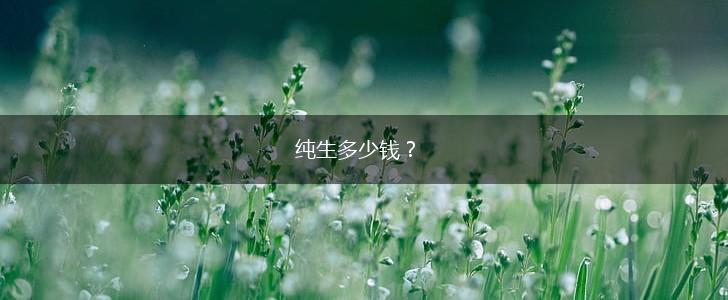 纯生多少钱？,第1张
