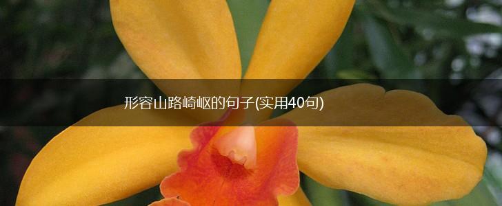 形容山路崎岖的句子(实用40句),第1张