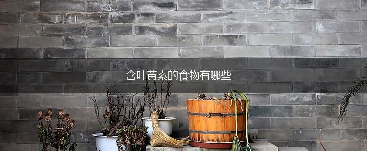 含叶黄素的食物有哪些,第1张