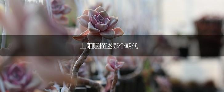 上阳赋描述哪个朝代,第1张