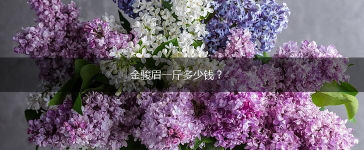 金骏眉一斤多少钱？,第1张