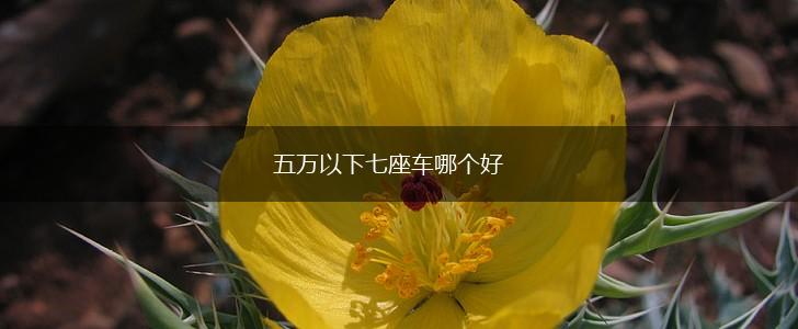 五万以下七座车哪个好,第1张