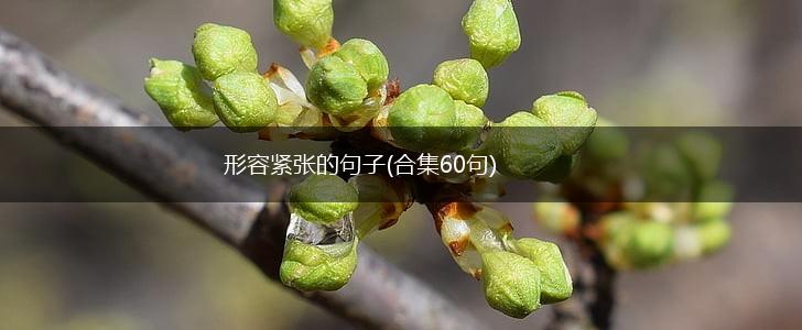 形容紧张的句子(合集60句),第1张