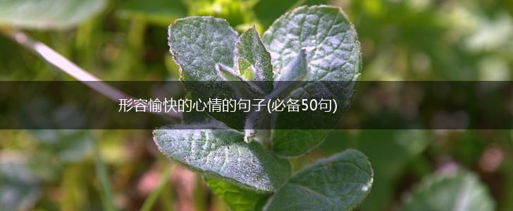 形容愉快的心情的句子(必备50句),第1张