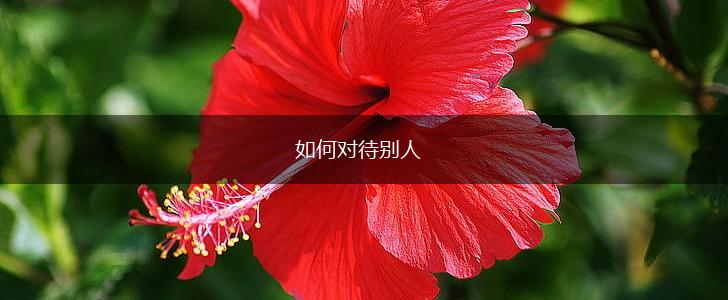 如何对待别人,第1张