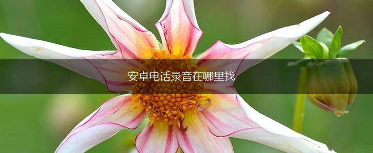 安卓电话录音在哪里找,第1张