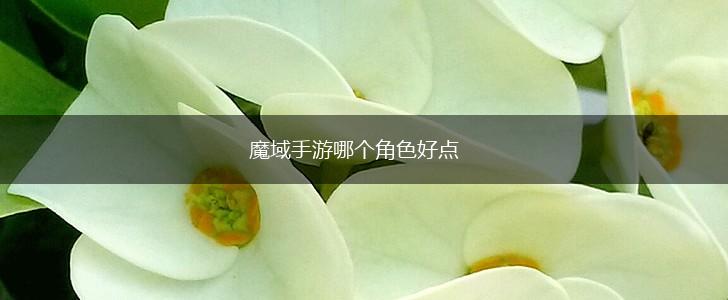 魔域手游哪个角色好点,第1张