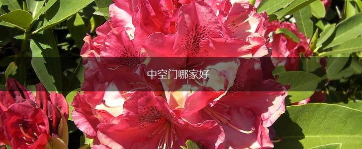 中空门哪家好,第1张