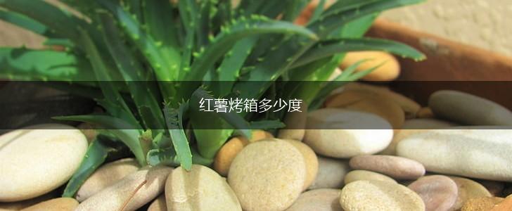 红薯烤箱多少度,第1张