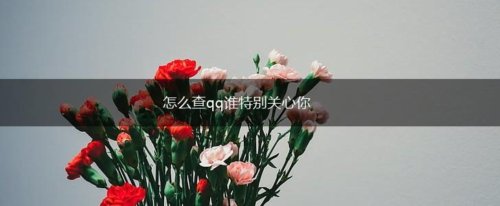 怎么查qq谁特别关心你,第1张