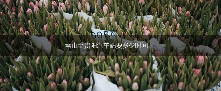 雷山至贵阳汽车站要多少时间,第1张