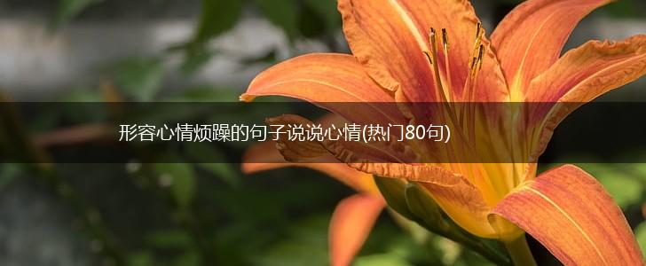 形容心情烦躁的句子说说心情(热门80句),第1张