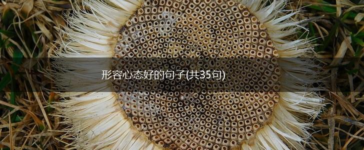 形容心态好的句子(共35句),第1张