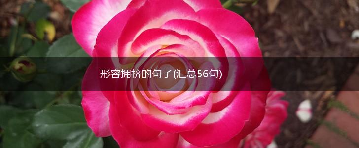 形容拥挤的句子(汇总56句),第1张