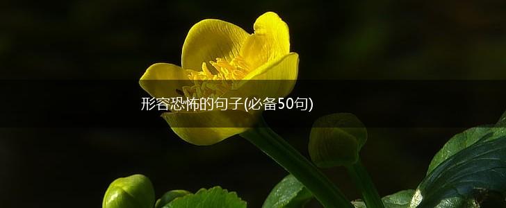 形容恐怖的句子(必备50句),第1张