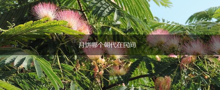 月饼哪个朝代在民间,第1张