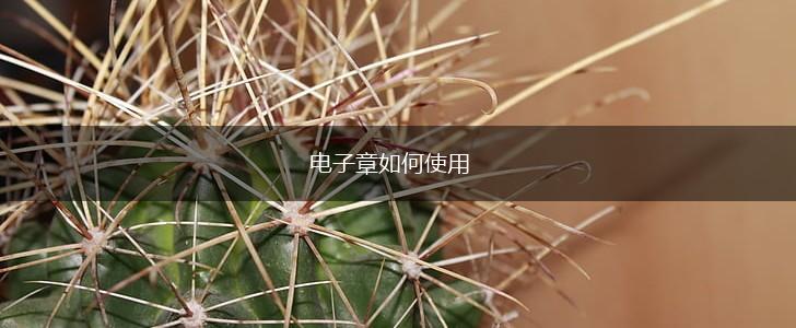 电子章如何使用,第1张