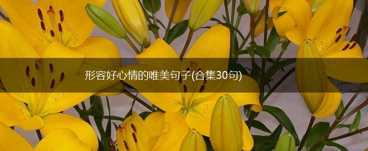 形容好心情的唯美句子(合集30句),第1张