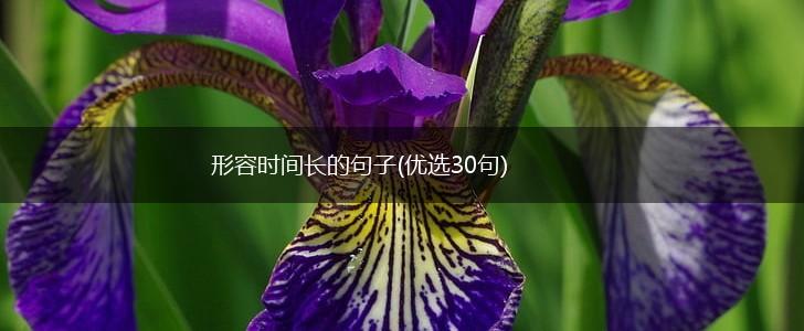 形容时间长的句子(优选30句),第1张