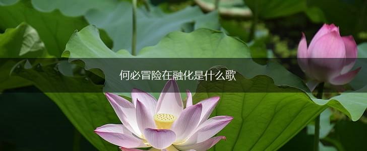 何必冒险在融化是什么歌,第1张