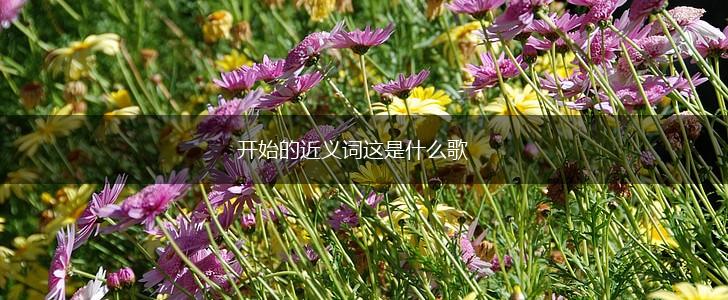 开始的近义词这是什么歌,第1张