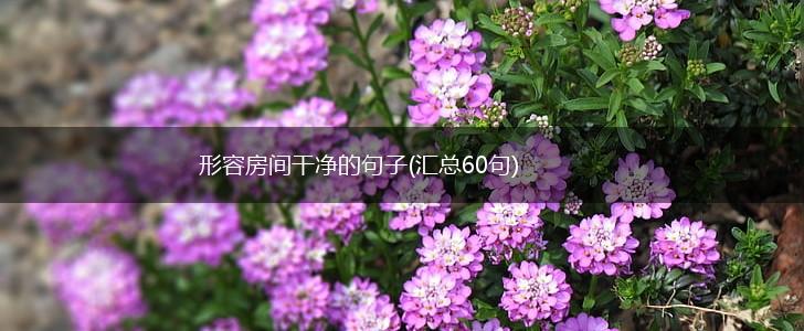 形容房间干净的句子(汇总60句),第1张