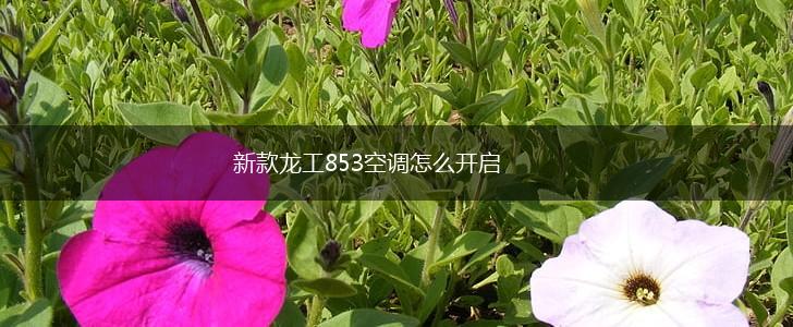 新款龙工853空调怎么开启,第1张
