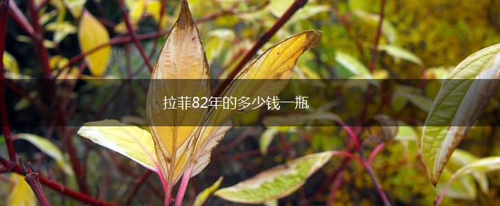 拉菲82年的多少钱一瓶,第1张