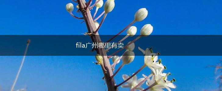 fila广州哪里有卖,第1张
