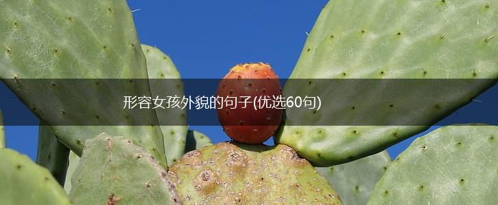 形容女孩外貌的句子(优选60句),第1张