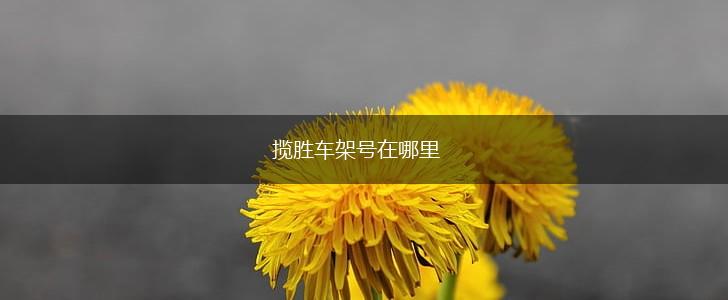 揽胜车架号在哪里,第1张