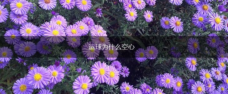 运球为什么空心,第1张