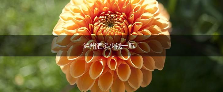 泸州酒多少钱一瓶,第1张