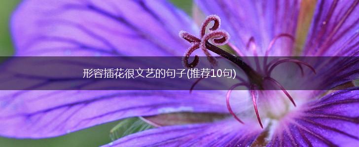 形容插花很文艺的句子(推荐10句),第1张