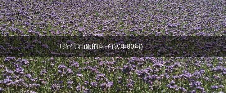 形容爬山累的句子(实用80句),第1张