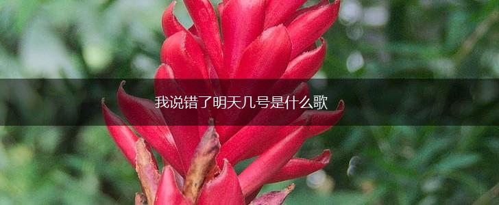 我说错了明天几号是什么歌,第1张