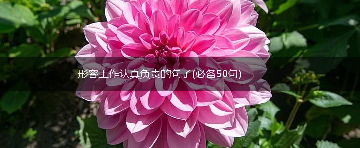 形容工作认真负责的句子(必备50句),第1张