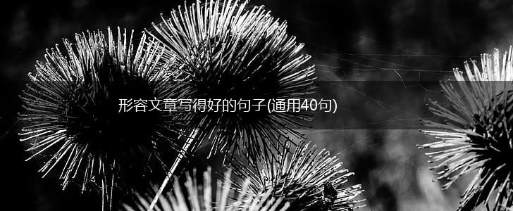 形容文章写得好的句子(通用40句),第1张