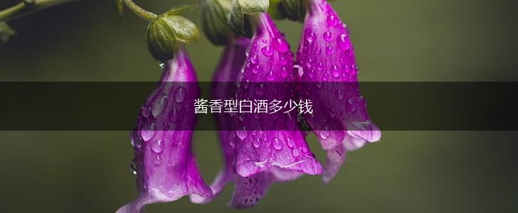 酱香型白酒多少钱,第1张