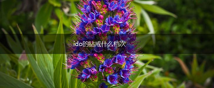 ido的钻戒什么档次,第1张