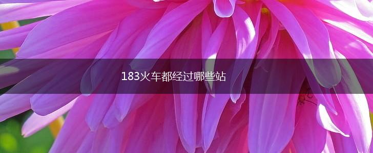 183火车都经过哪些站,第1张