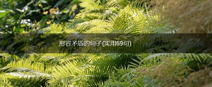 形容矛盾的句子(实用69句),第1张