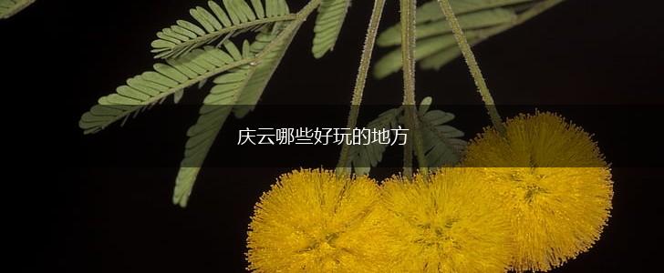 庆云哪些好玩的地方,第1张