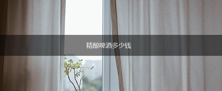 精酿啤酒多少钱,第1张