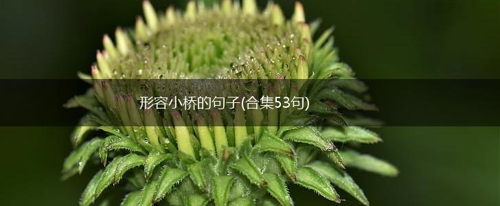 形容小桥的句子(合集53句),第1张
