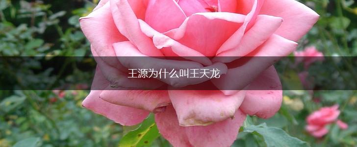 王源为什么叫王天龙,第1张