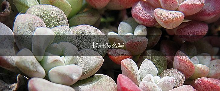 抛开怎么写,第1张