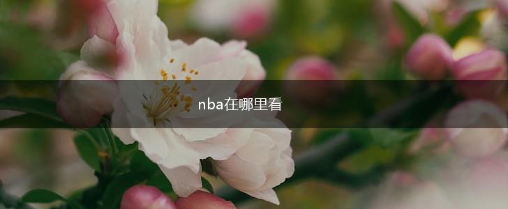 nba在哪里看,第1张