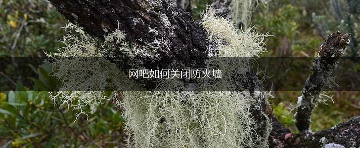 网吧如何关闭防火墙,第1张